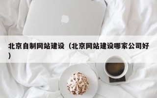天水北京自制网站建设（北京网站建设哪家公司好）